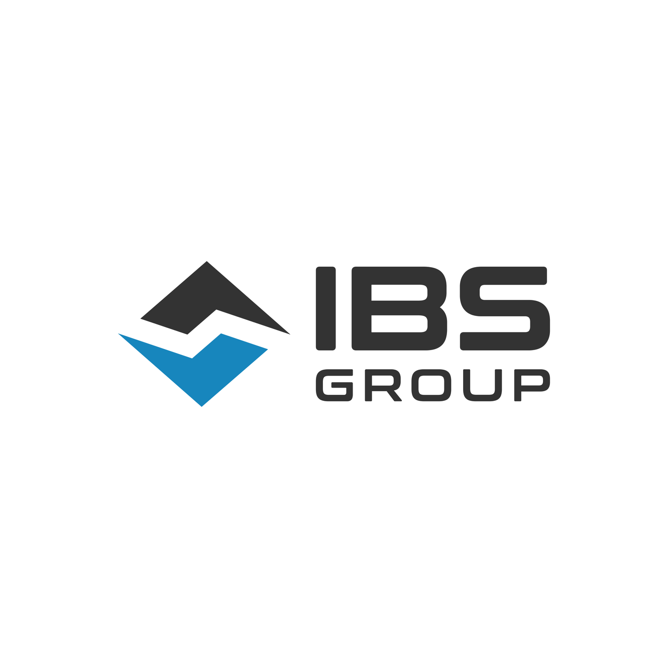 IBS GROUP IBS GROUP